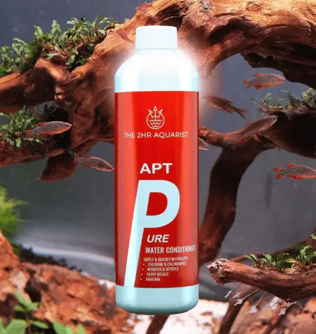 APT PURE view 5