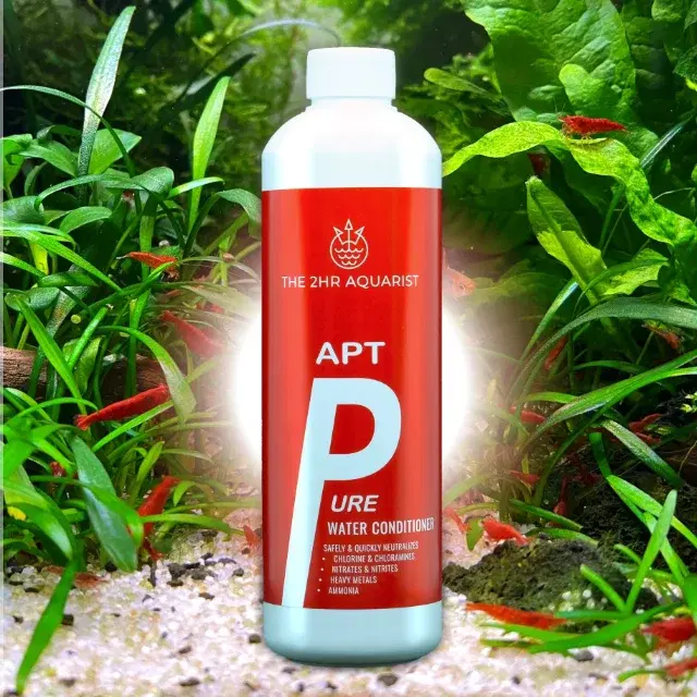 APT PURE view 6