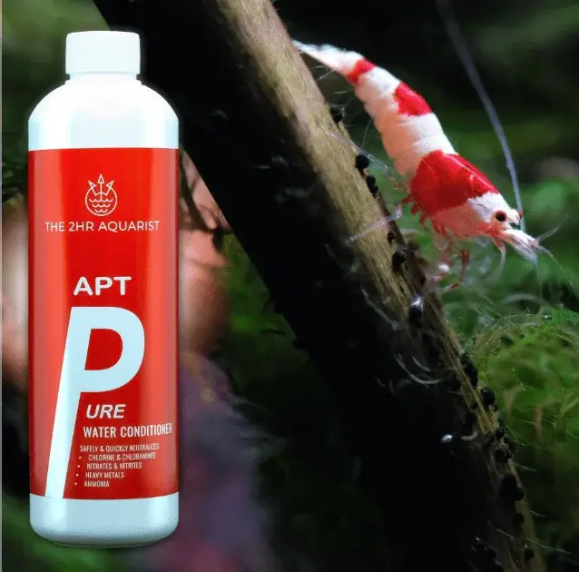 APT PURE view 7