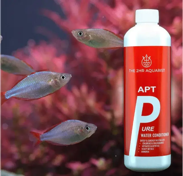 APT PURE view 8
