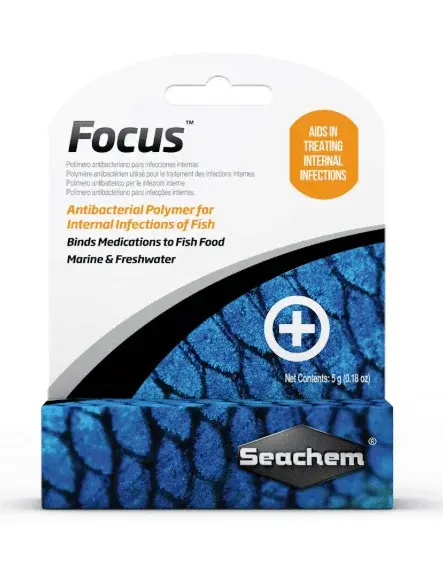 Focus view 1