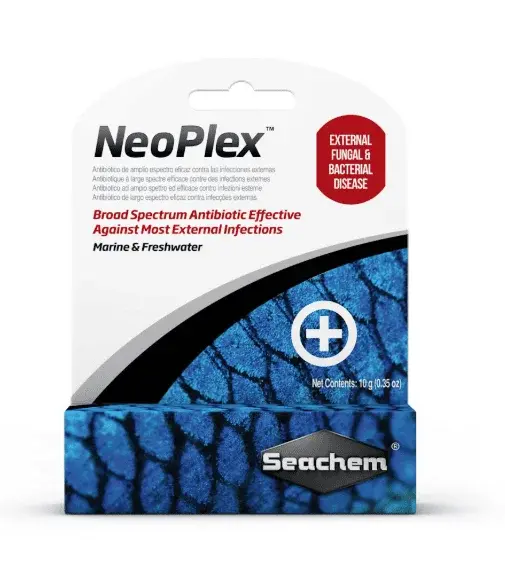 Neoplex view 1