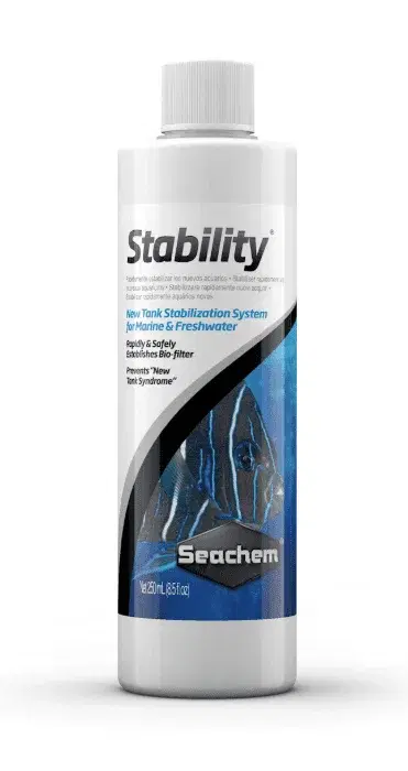 Stability
