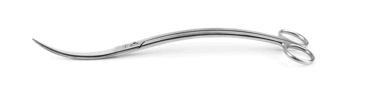 Tijeras con doble curva 25 cm view 4
