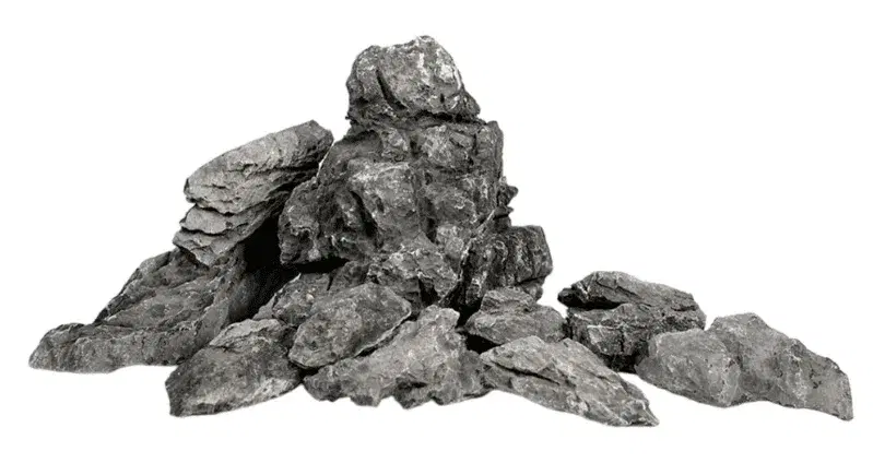 Roca Seiryu