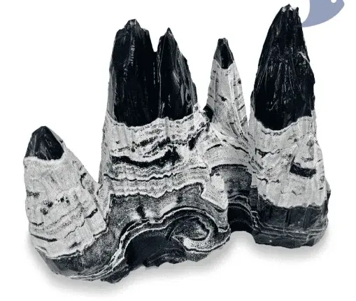 Roca Montaña Nebulosa
