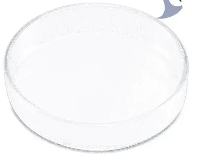 Plato de cristal para alimentación view 3
