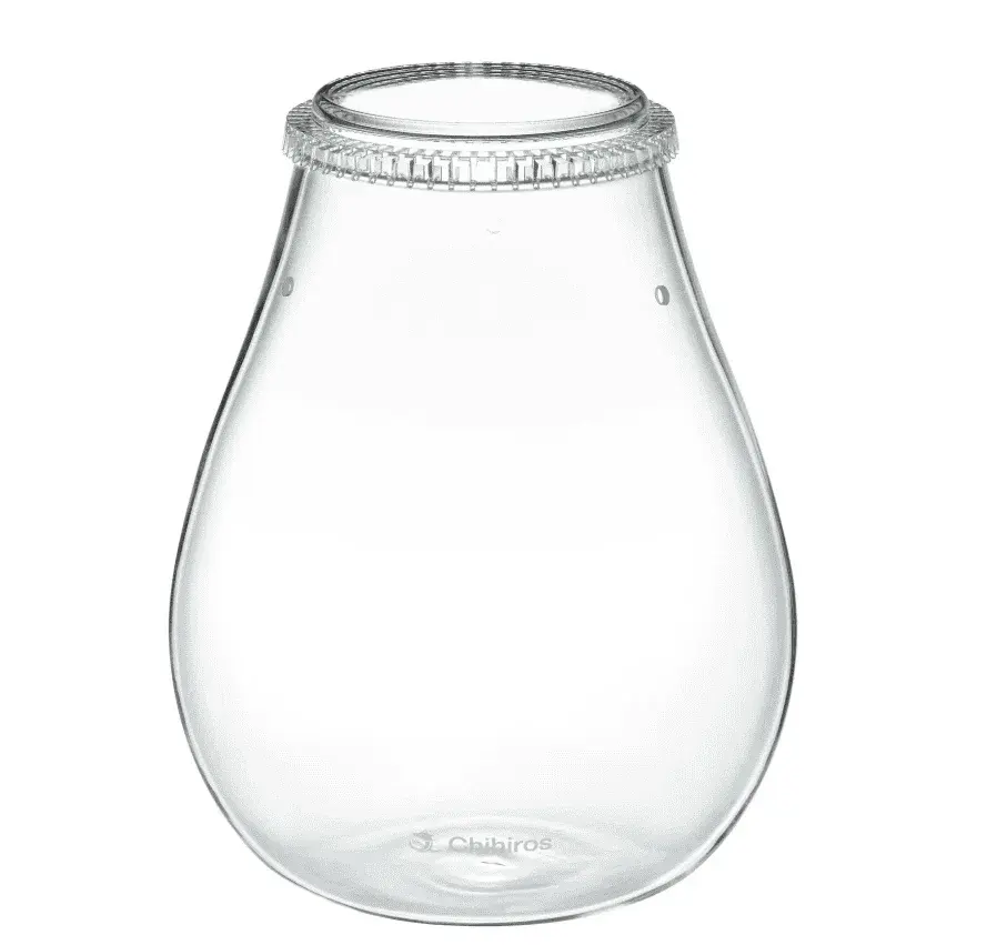 GLASS POT DEW view 2
