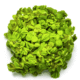 Salvinia Minima