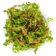 Rotala Rotundifolia 'Blood Red'