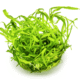 Helanthium Tenellum 'Green'