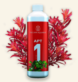 Captura de Pantalla 2025-05-04 a la(s) 1.22.17 APT 1