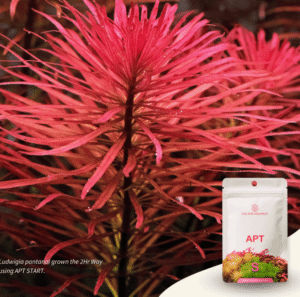 Captura de Pantalla 2025-05-04 a la(s) 1.34.55 APT START