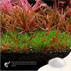 Captura de Pantalla 2025-05-04 a la(s) 1.42.53 APT SKY