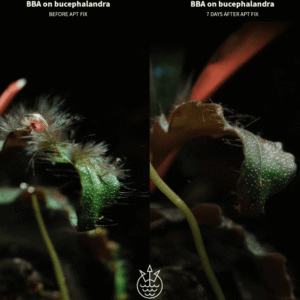 Captura de Pantalla 2025-05-04 a la(s) 1.50.08 APT FIX