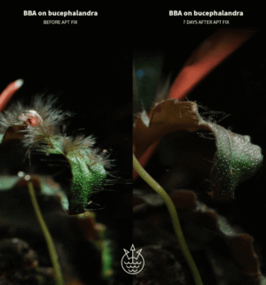 Captura de Pantalla 2025-05-04 a la(s) 1.50.08 APT FIX