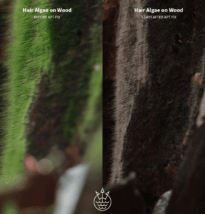 Captura de Pantalla 2025-05-04 a la(s) 1.50.39 APT FIX