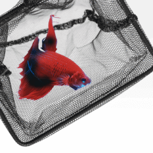 Captura de Pantalla 2025-05-05 a la(s) 16.54.12 Fish Net