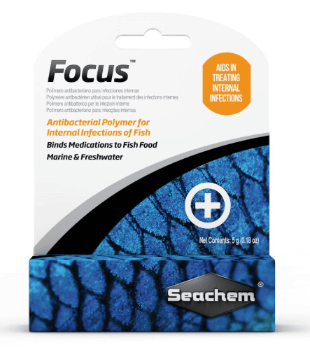 Focus