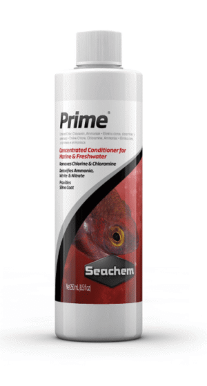 Captura de Pantalla 2025-05-06 a la(s) 0.21.26 Prime