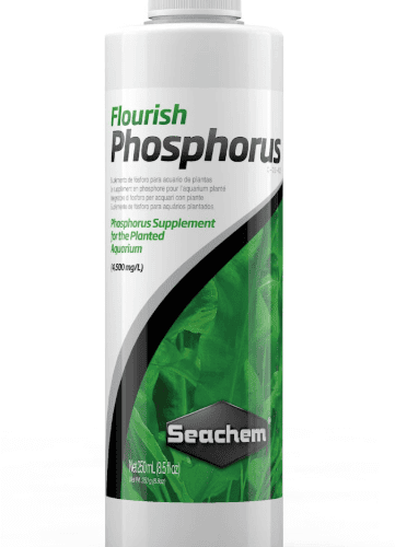 Flourish Phosphorus