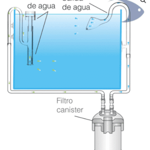 Lily Pipe de cristal curvado