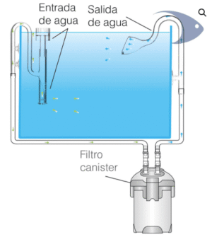 Lily Pipe de cristal curvado