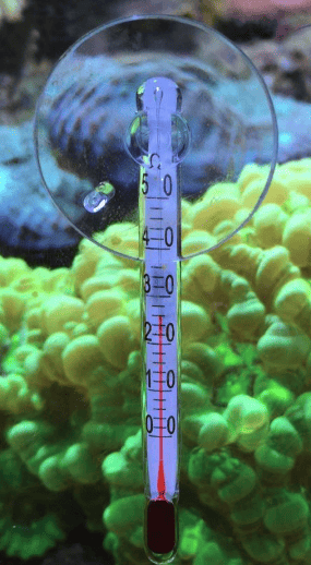 Palm Thermometer