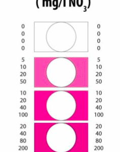 Captura de Pantalla 2025-05-06 a la(s) 17.53.31 NO3 Test