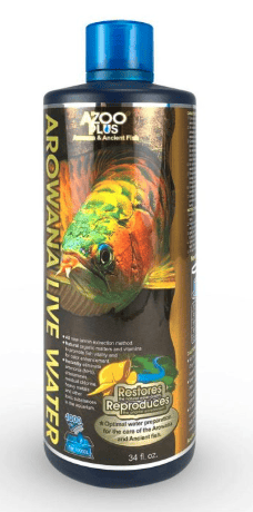 Arowana Live Water