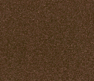 Delicias de camarón para peces ornamentales