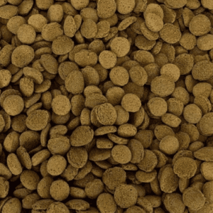 Captura de Pantalla 2025-05-07 a la(s) 20.15.19 Tropical Shrimp Pie