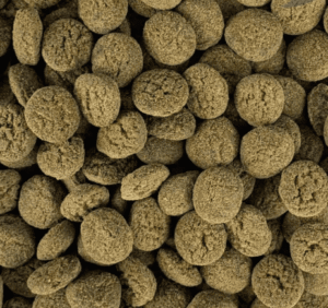 Captura de Pantalla 2025-05-07 a la(s) 21.03.33 Vegetable Shrimp Pie