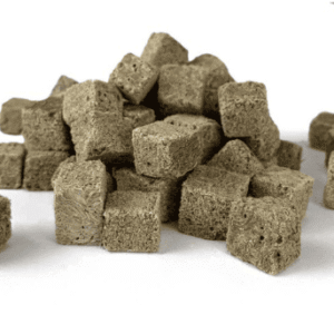 Captura de Pantalla 2025-05-07 a la(s) 23.12.19 Tubifex Worm