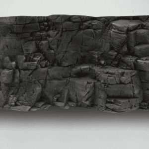 Captura de Pantalla 2025-05-07 a la(s) 23.16.30 Fondo Rocoso Tanganyika