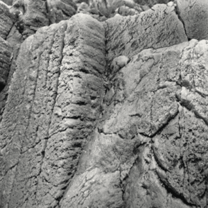 Captura de Pantalla 2025-05-07 a la(s) 23.16.46 Fondo Rocoso Tanganyika