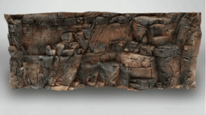 Captura de Pantalla 2025-05-07 a la(s) 23.17.08 Fondo Rocoso Tanganyika