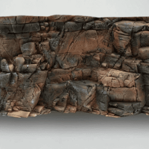 Captura de Pantalla 2025-05-07 a la(s) 23.17.08 Fondo Rocoso Tanganyika