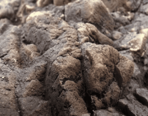 Captura de Pantalla 2025-05-07 a la(s) 23.17.15 Fondo Rocoso Tanganyika