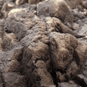 Captura de Pantalla 2025-05-07 a la(s) 23.17.15 Fondo Rocoso Tanganyika