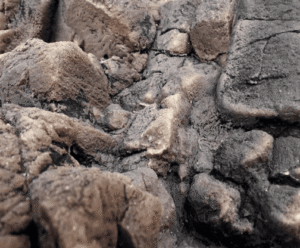 Captura de Pantalla 2025-05-07 a la(s) 23.17.22 Fondo Rocoso Tanganyika