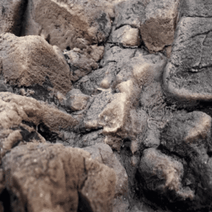 Captura de Pantalla 2025-05-07 a la(s) 23.17.22 Fondo Rocoso Tanganyika