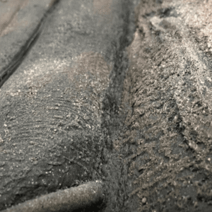 Fondo Rocoso Rainforest