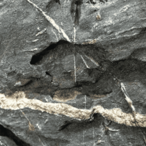 Arreglo Rocoso Tipo Montaña