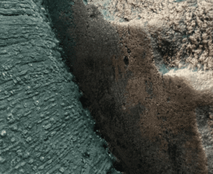 Fondo Rocoso Amazonas