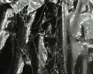 Roca Montaña Nebulosa