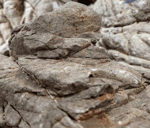Roca Piel de Elefante