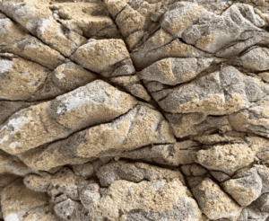 Roca Piel de Elefante