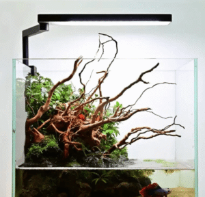 Captura de Pantalla 2025-05-08 a la(s) 23.14.54 CII