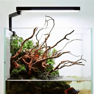 Captura de Pantalla 2025-05-08 a la(s) 23.14.54 CII